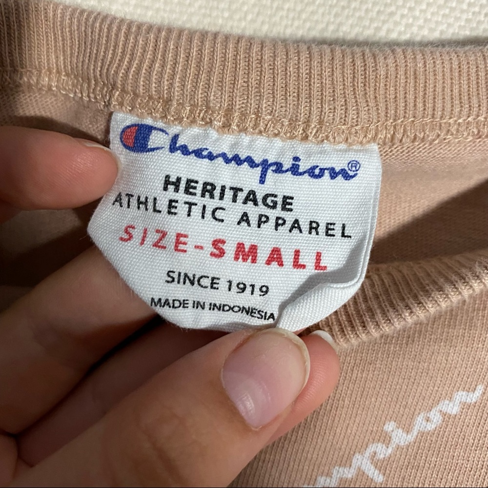 Champion Cropped Tee, All Over Logo - Picture 4 of 5
